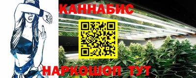 дмт Ставрополь