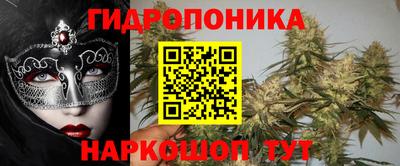 дмт Ставрополь