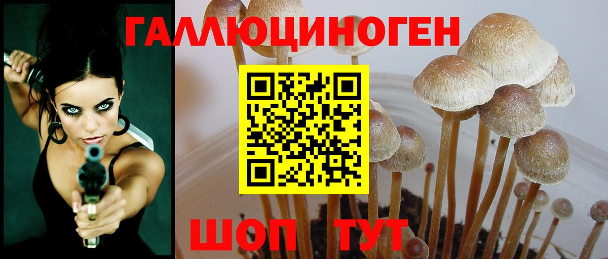 Алексеевка  Галлюциногенные грибы MAGIC MUSHROOMS  Вход с VPN  Галлюциногенные грибы прущие грибы 