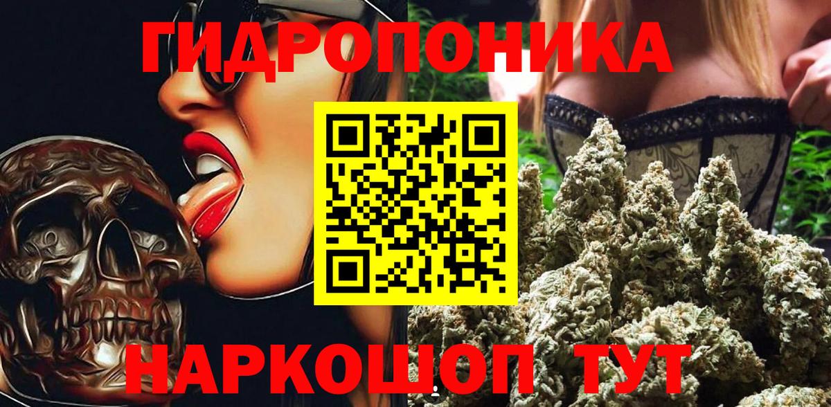 Марихуана ГИДРОПОН  Вход с VPN  Алексеевка  Марихуана планчик 